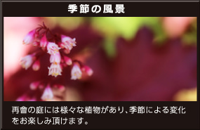季節の風景