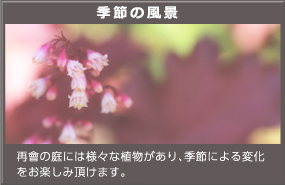 季節の風景